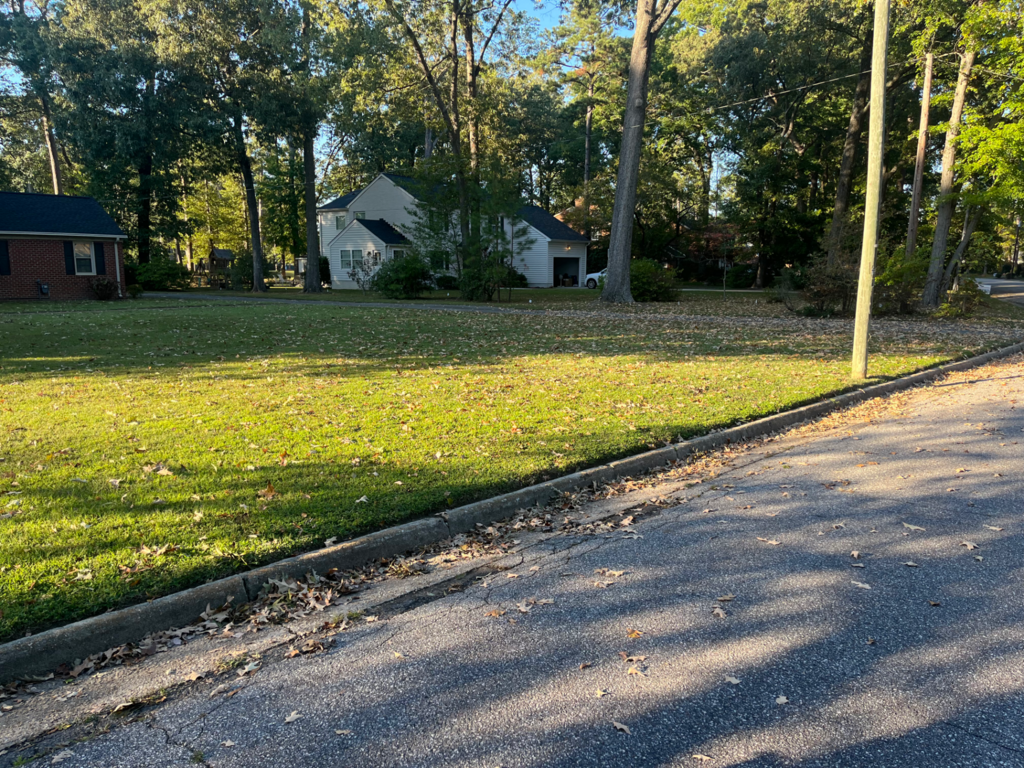  Kings Lawn Care Services Etc