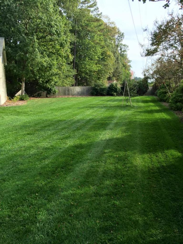  Kings Lawn Care Services Etc