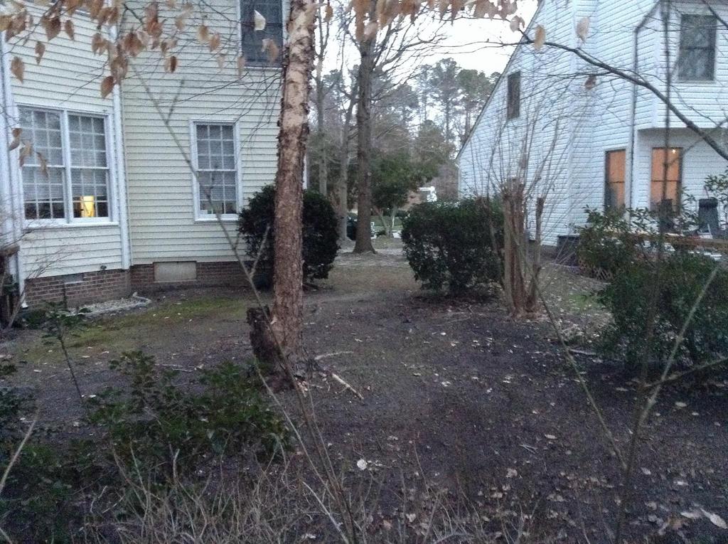  Kings Lawn Care Services Etc