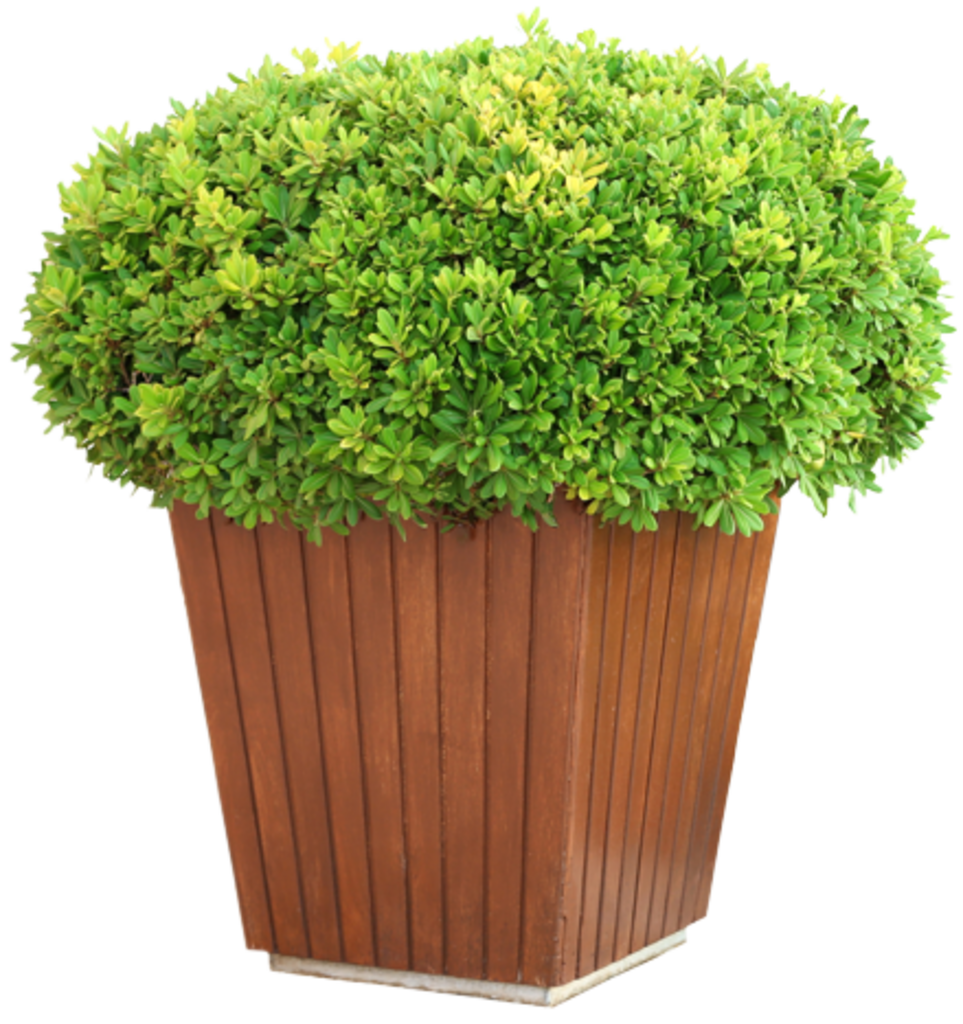 Gray Landscaping And Handyman