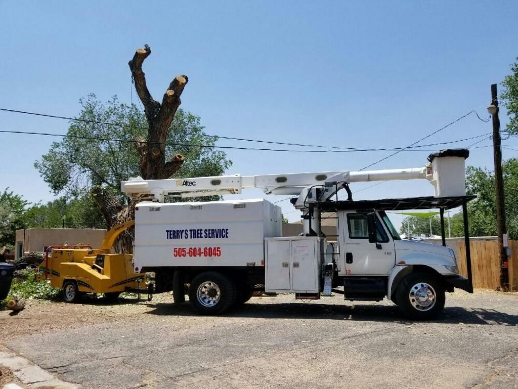 Terry's Tree Service Tree Service in Peralta, NM