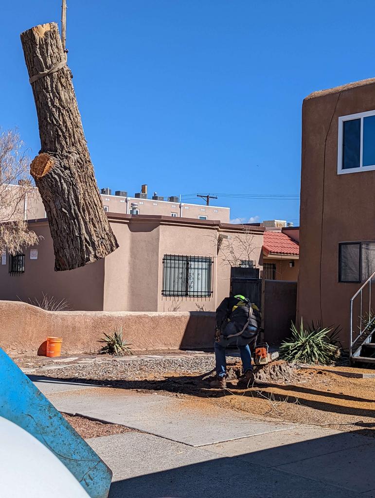 Terry's Tree Service Tree Service in Peralta, NM