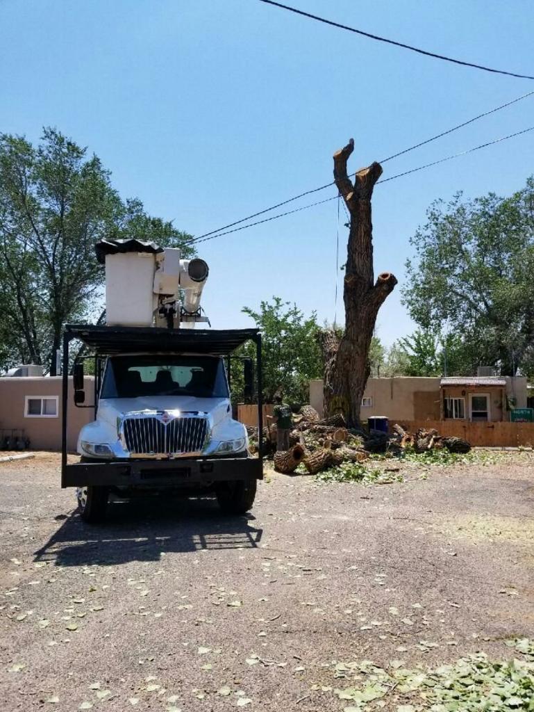 Terry's Tree Service Tree Service in Peralta, NM