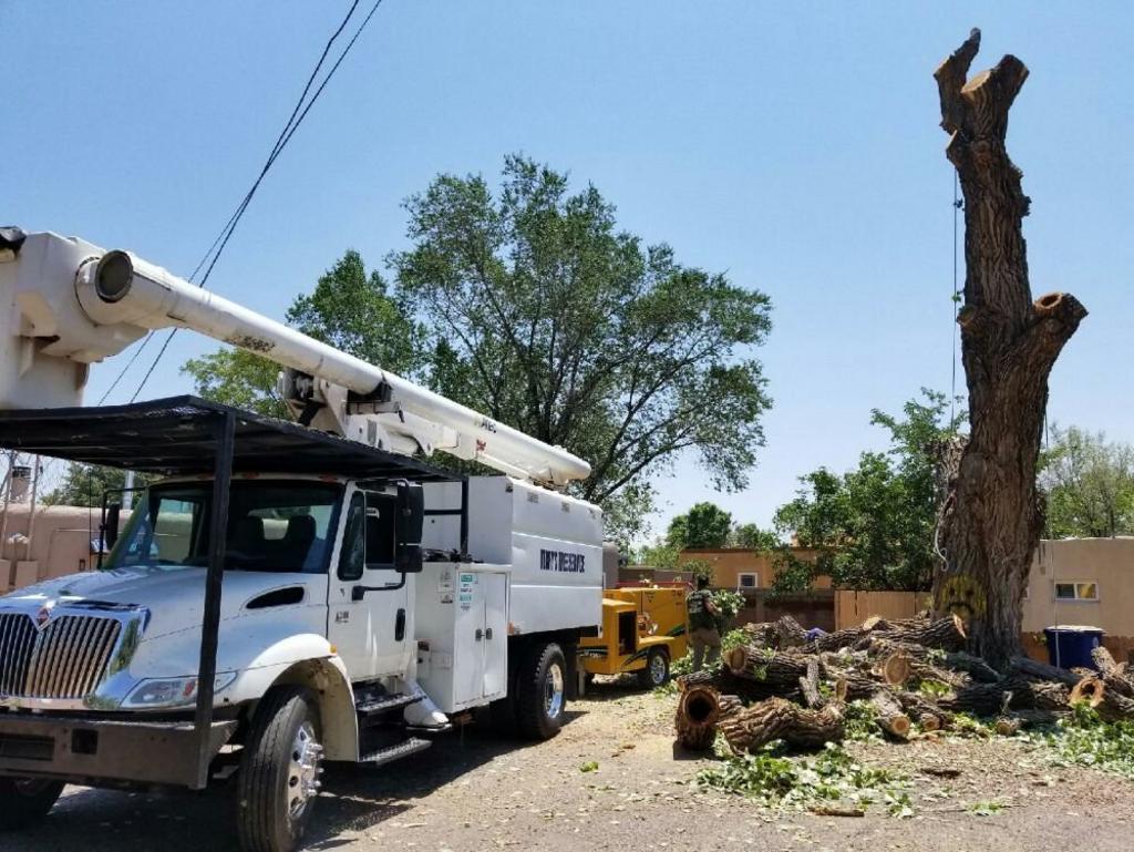 Terry's Tree Service Tree Service in Peralta, NM