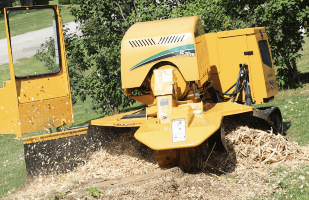 Terry's Tree Service Tree Service in Peralta, NM