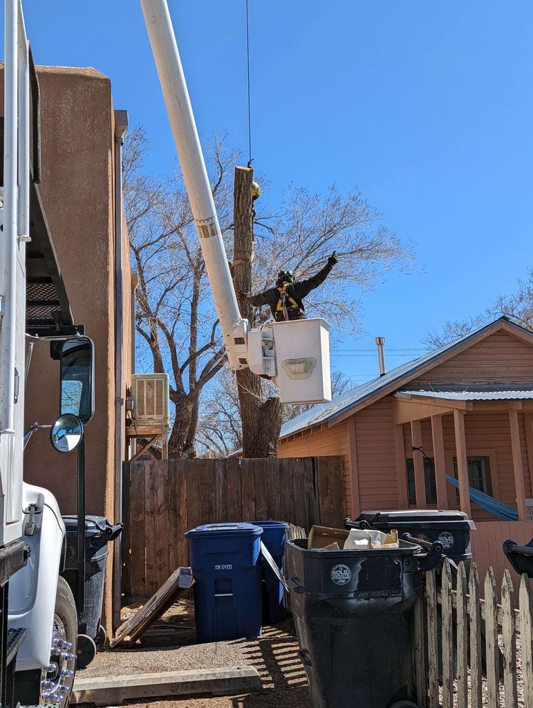 Terry's Tree Service Tree Service in Peralta, NM
