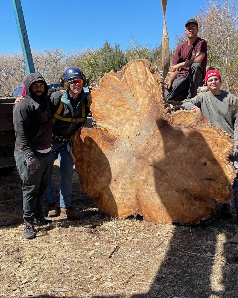 Terry's Tree Service Tree Service in Peralta, NM