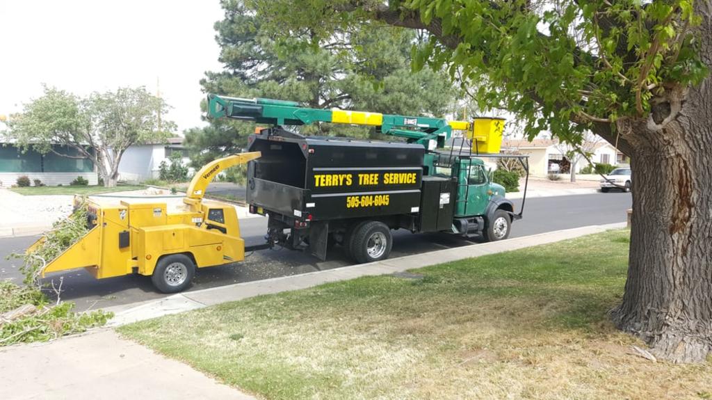 Terry's Tree Service Tree Service in Peralta, NM