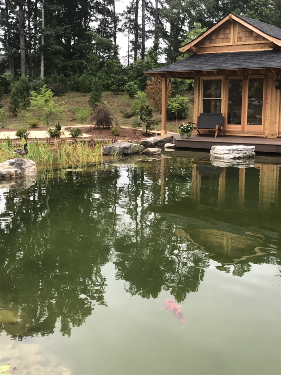 Aquarium Services Aquarium Services