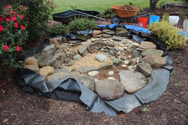 Aquarium Services Aquarium Services