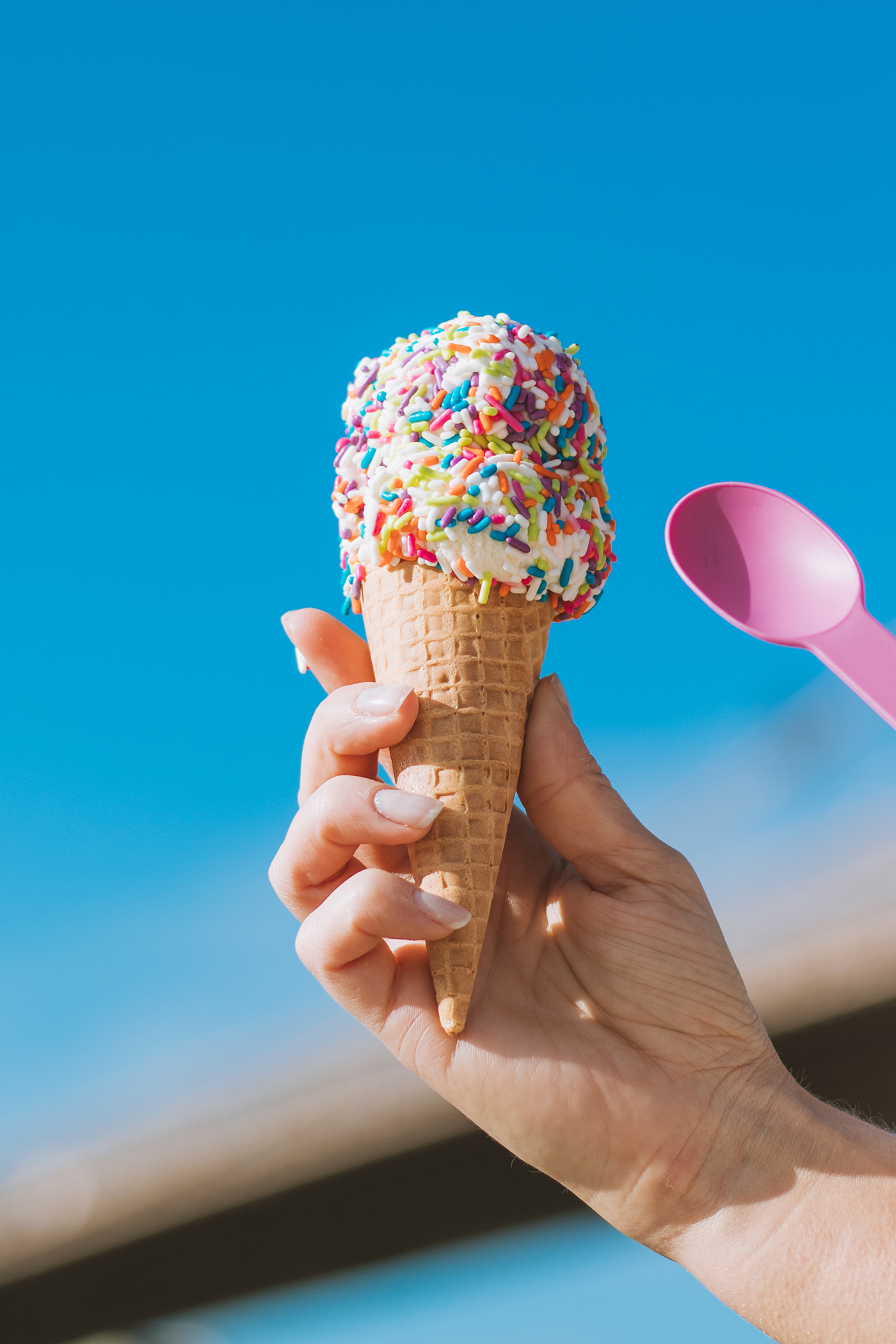 Baskin Robin Baskin Robin