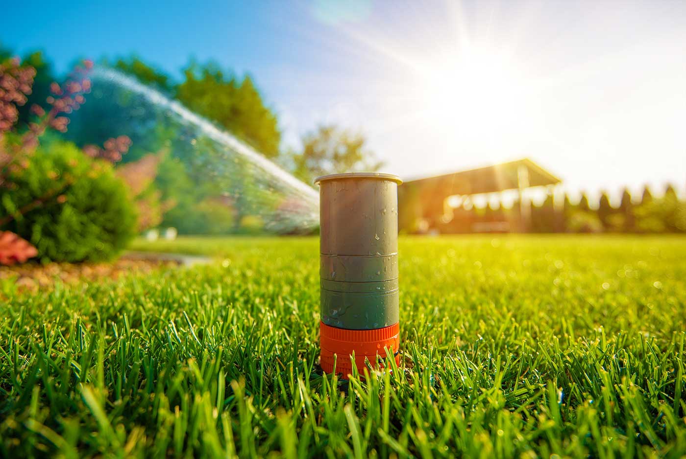 Fertilization & Weed Control Programs Fertilization & Weed Control Programs