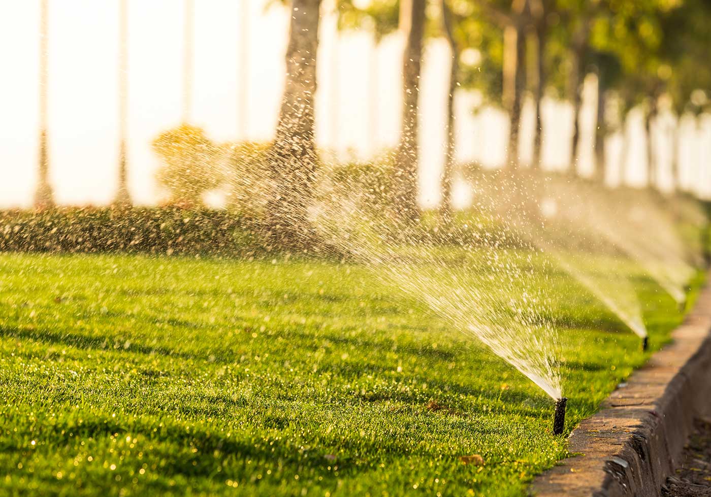 Landscaping Landscaping