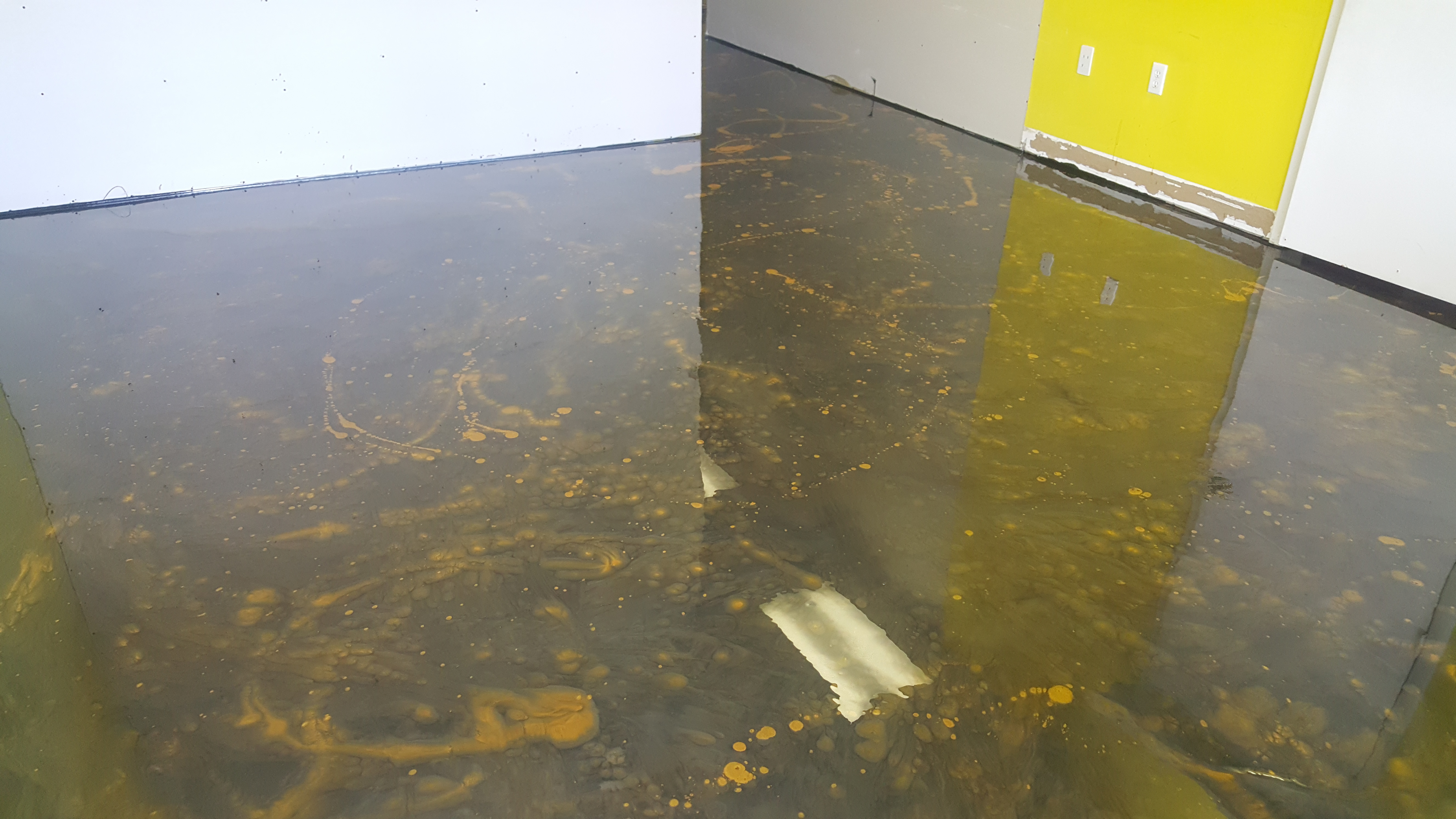 Services Unique Stone USA Concrete Contractor in North Port, FL