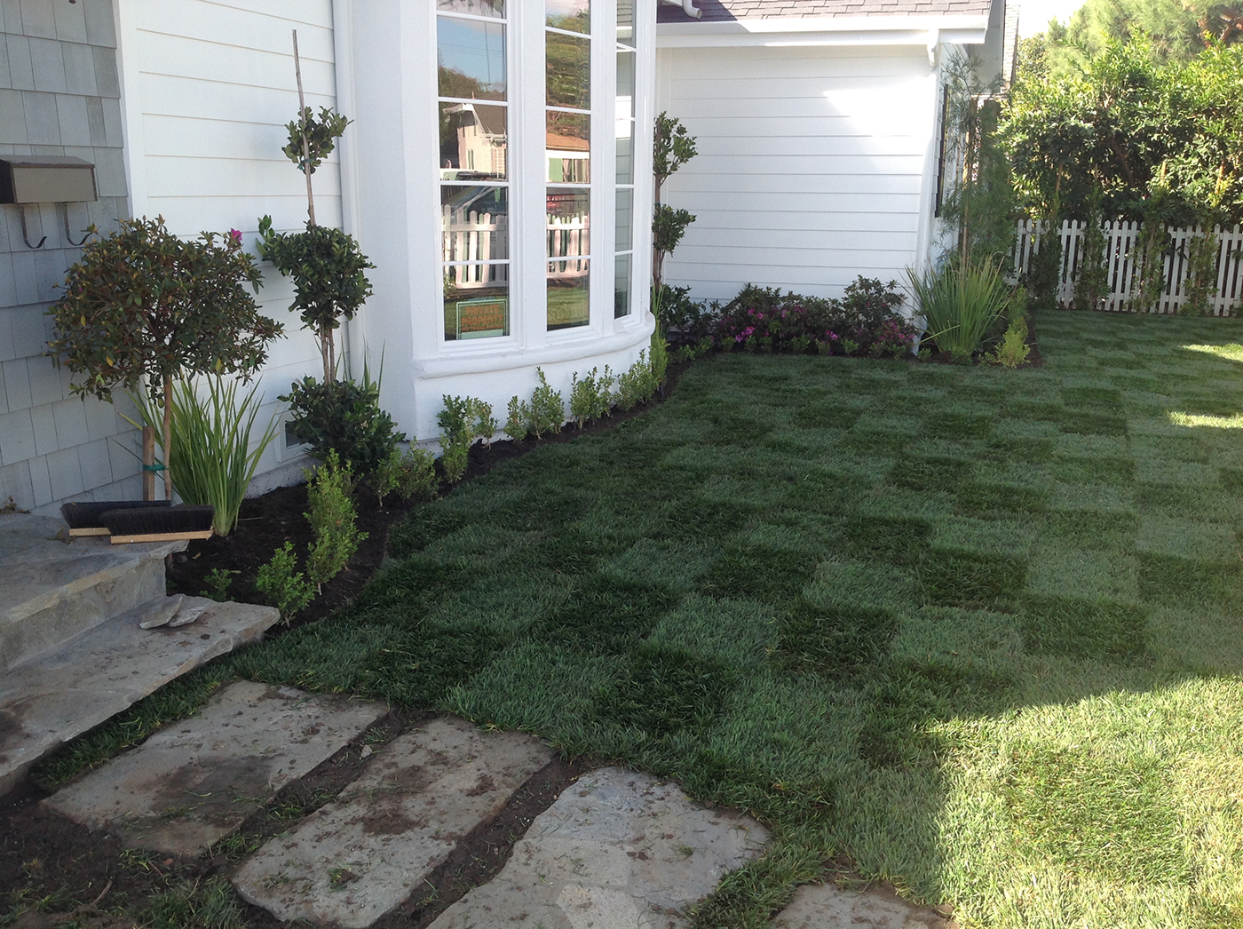 lawn sod care lawn sod care