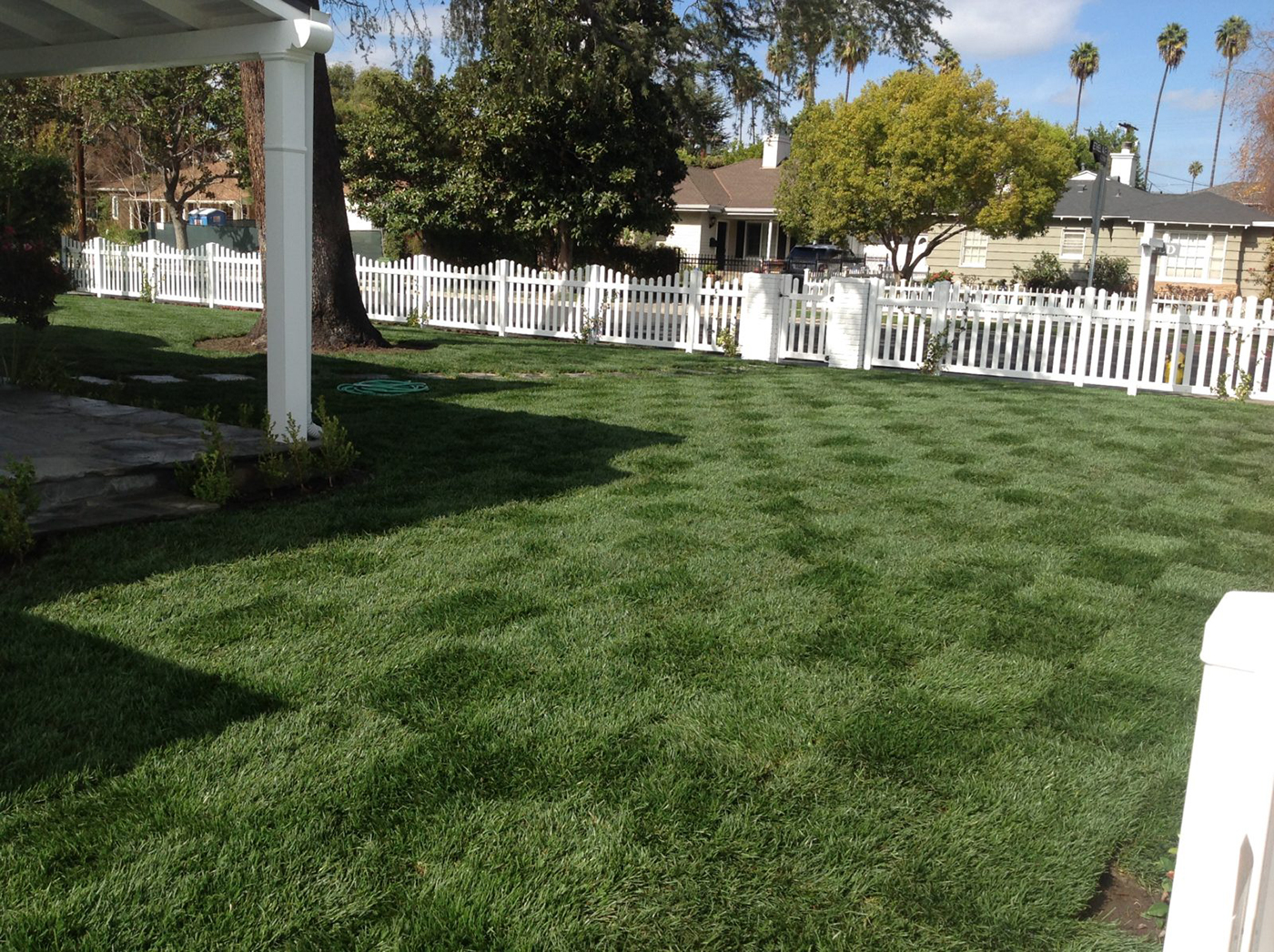 lawn sod care lawn sod care