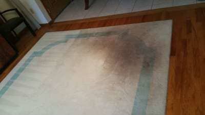water damage cleaning mike silvia water damage cleaning mike silvia