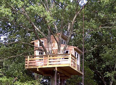 New Jersey Treehouse New Jersey Treehouse