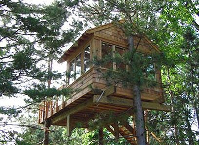 Cohn Treehouse Cohn Treehouse