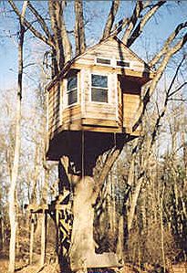 Tutin's Treehouse Tutin's Treehouse