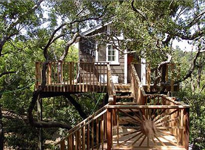 "City of Angeles" Treehouse "City of Angeles" Treehouse