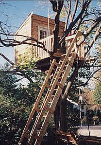 JT & S Treehouse JT & S Treehouse