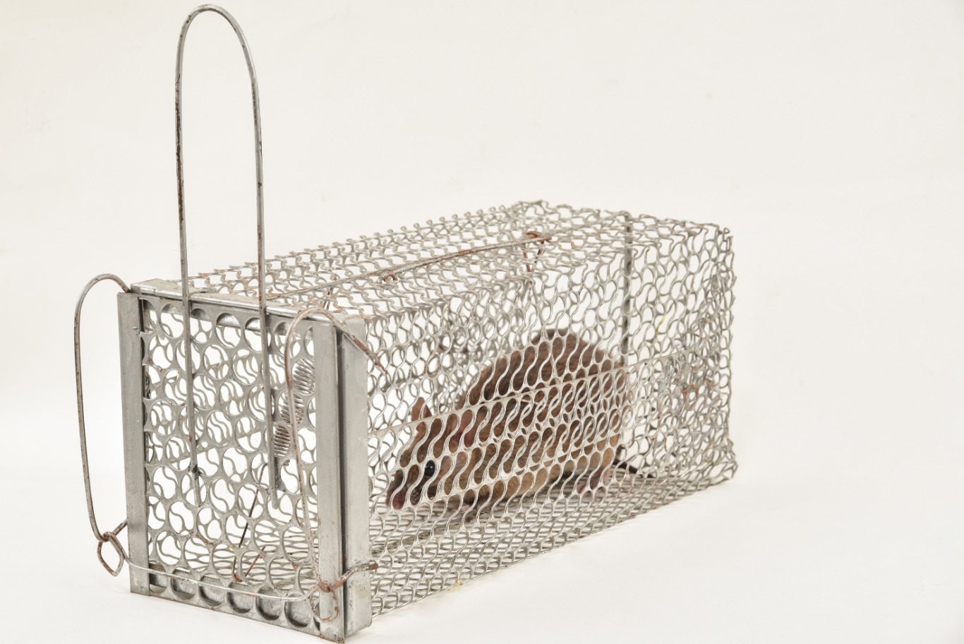 Animal Trapping Animal Trapping