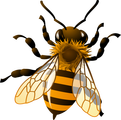 Florida Bee Investigator Florida Bee Investigator
