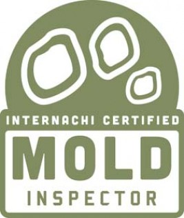 mold inspector mold inspector