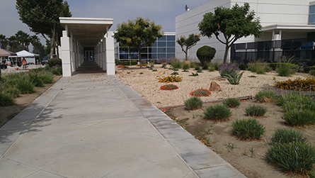 backyard landscape design backyard landscape design