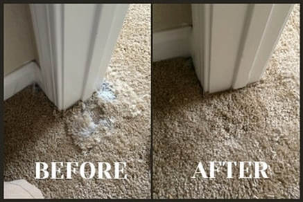 before and after carpet before and after carpet