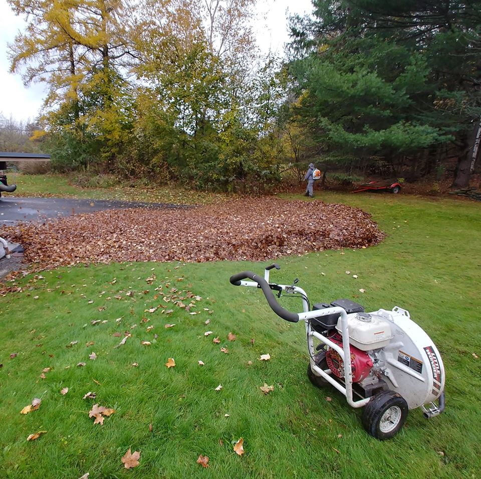 landscaping service landscaping service