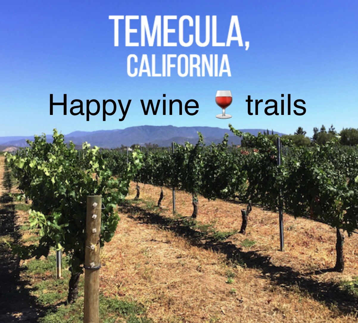 temecula valley wine temecula valley wine