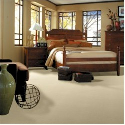Shaw Carpet Shaw Carpet