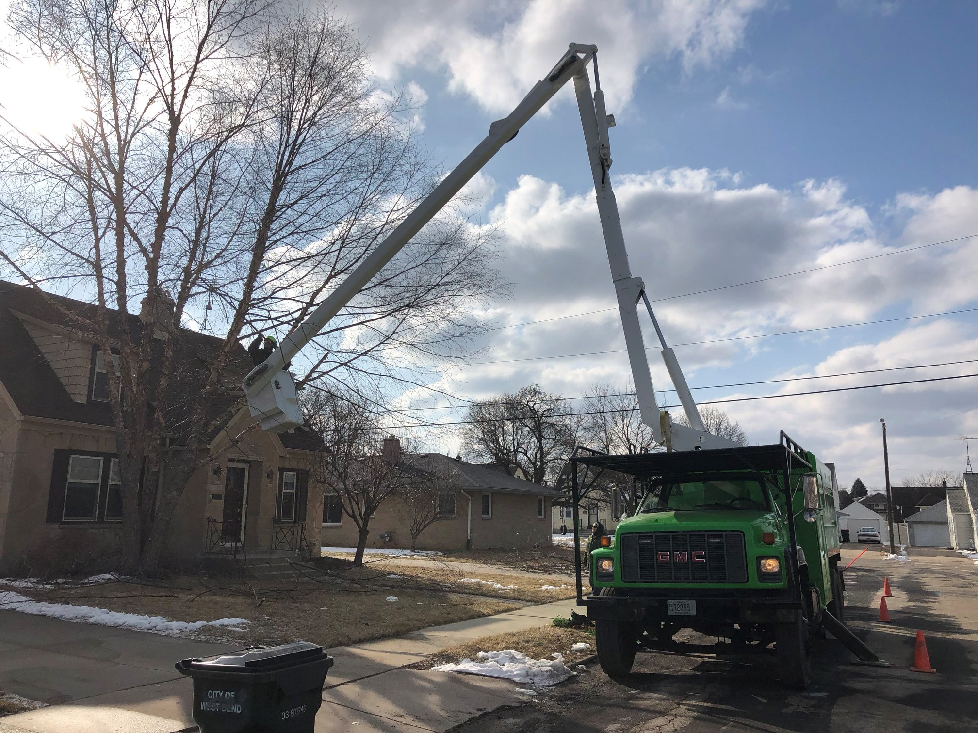 Tree and Shrub Removal Tree and Shrub Removal