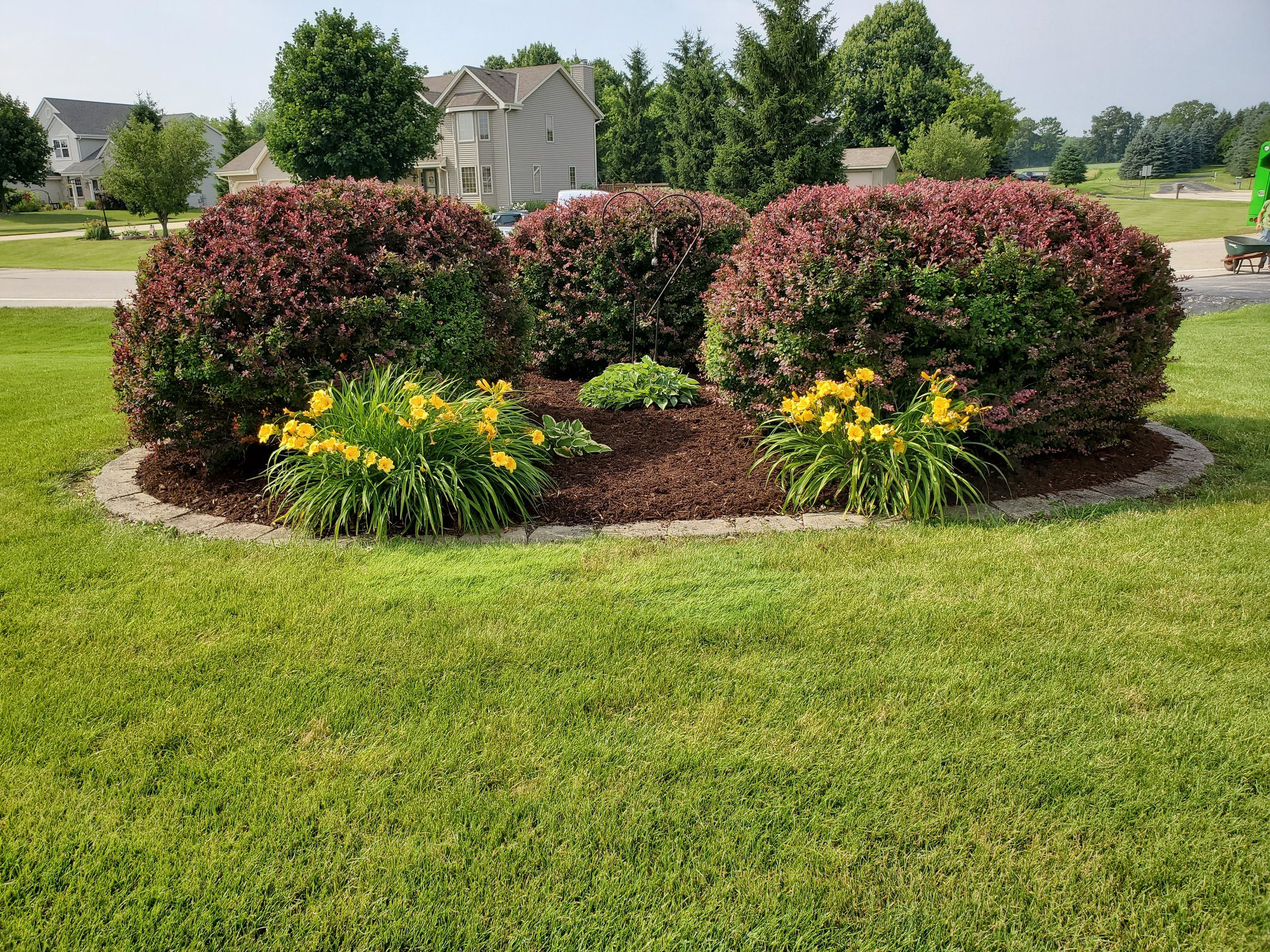 Landscaping Landscaping