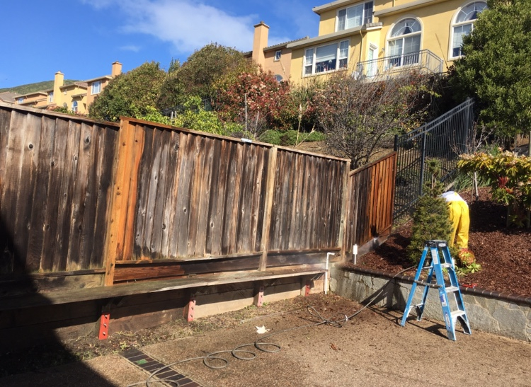 Fence & Deck Restoration