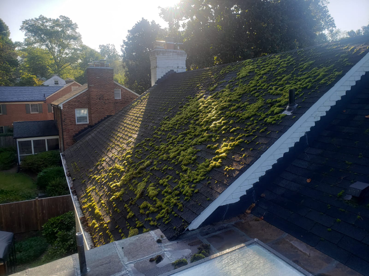 gutter cleaning gutter cleaning