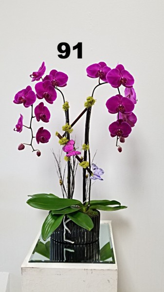 RP40