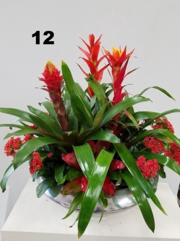 RP128