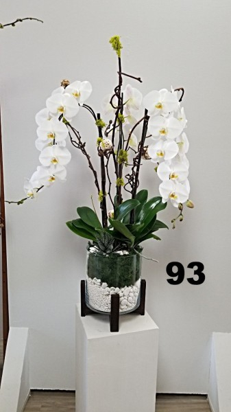 RP42