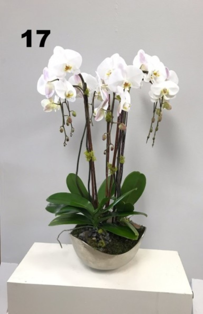 RP125