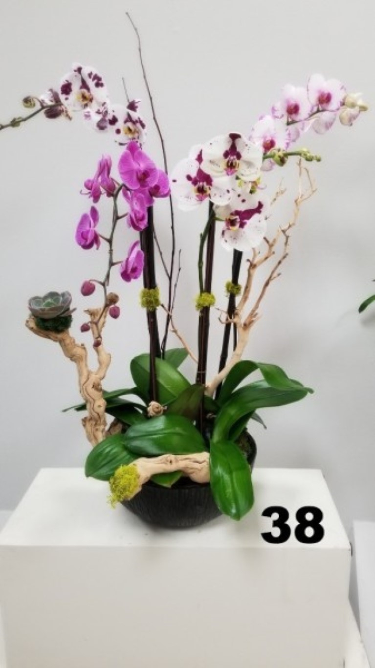 RP104