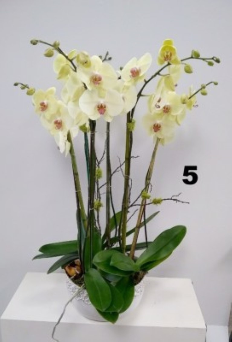 RP142