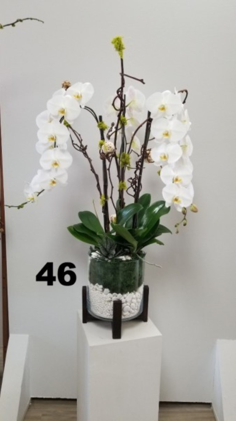 RP94