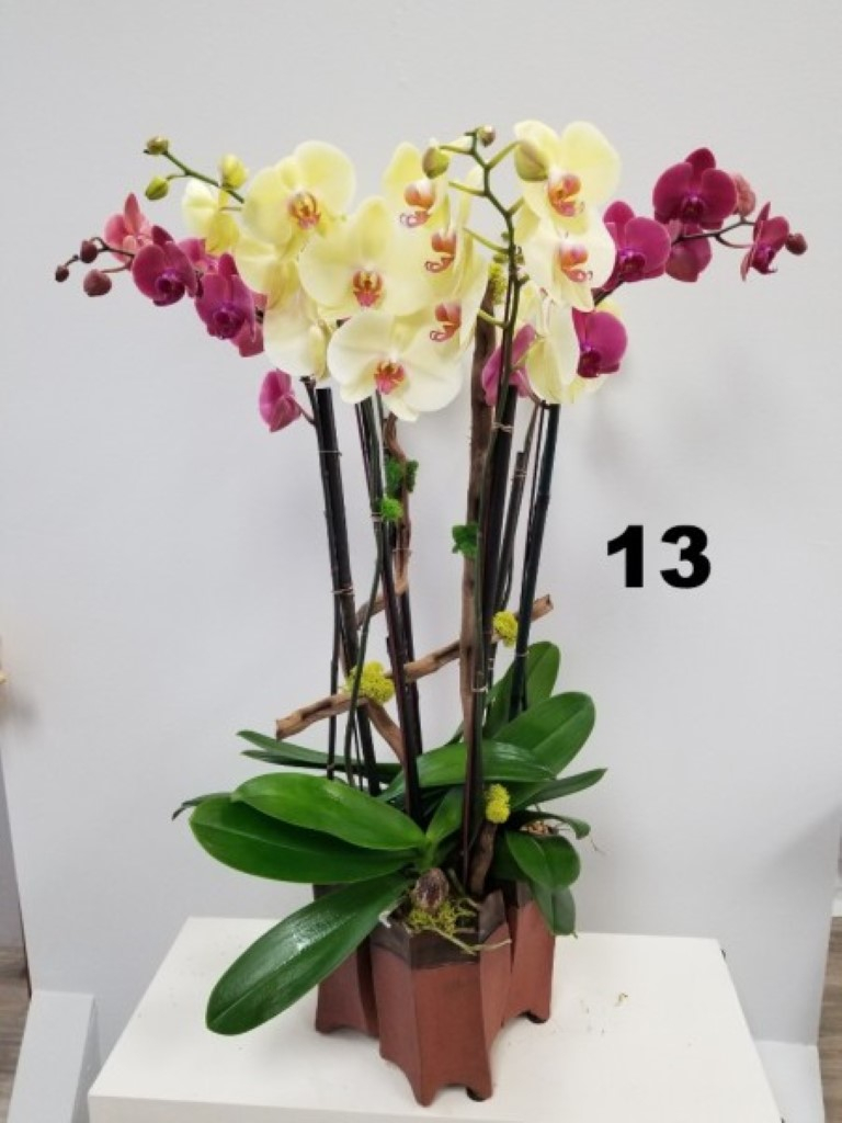 RP127