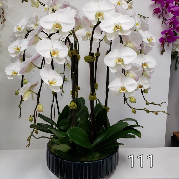RP18