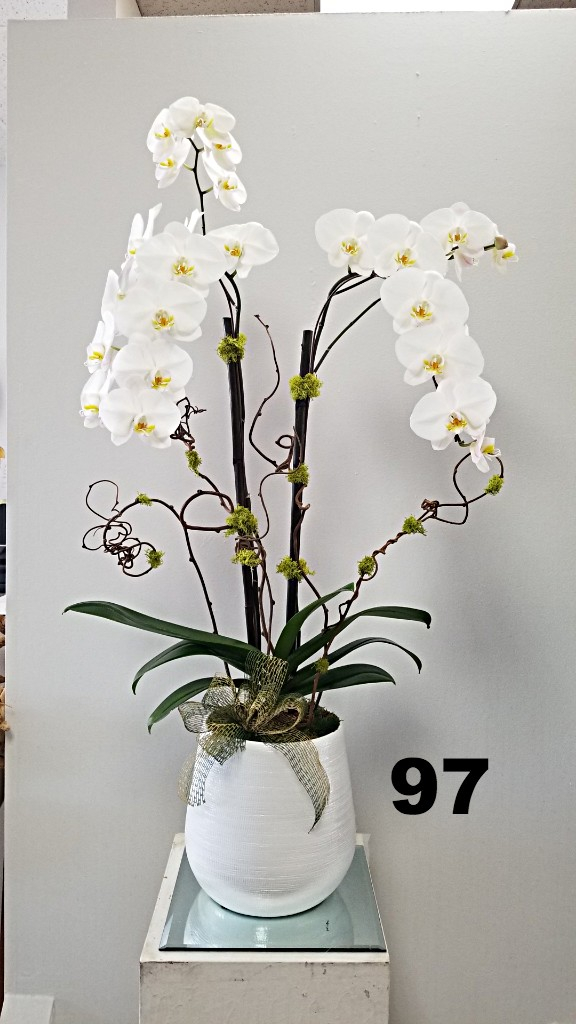 RP27
