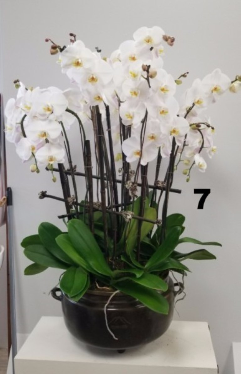 RP137