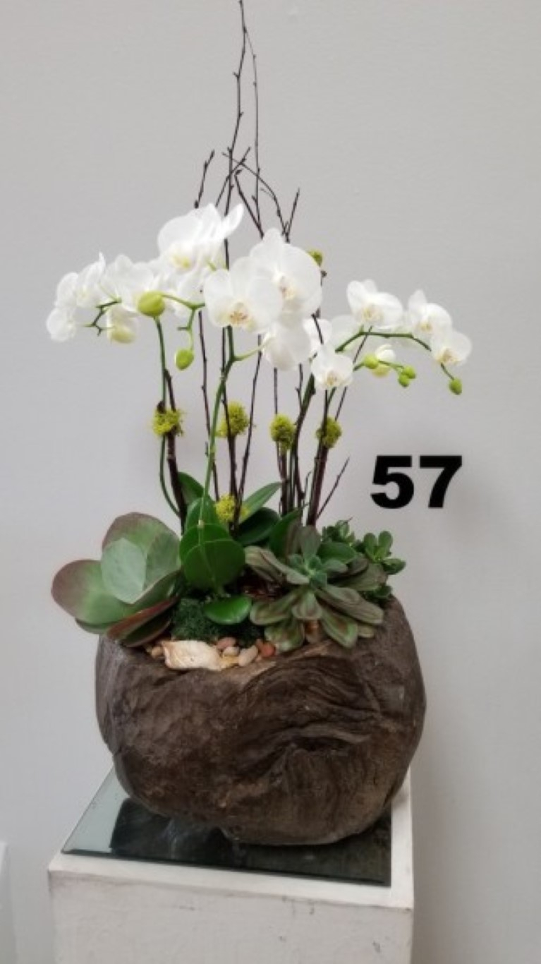 RP80